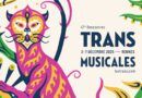 TRANS Musicales 2025 : que voir à la 47e édition selon tes goûts musicaux ?