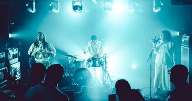 François & The Atlas Mountains et Manu Delta à La Maison Bleue